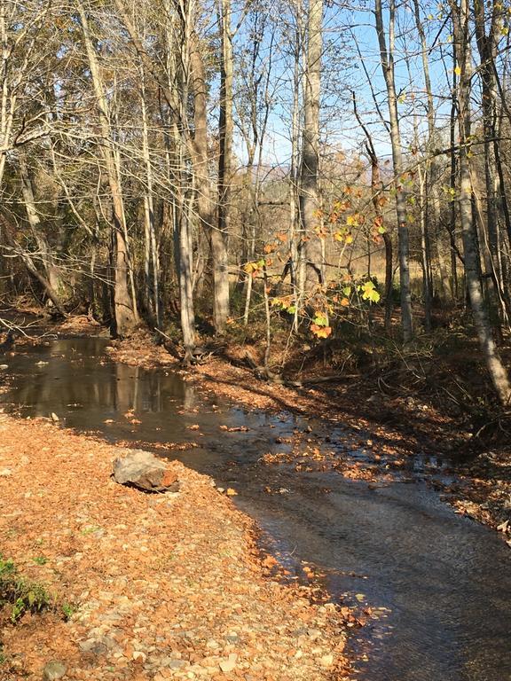 Serenity Views Bungalow - Close To City And Parkway! Villa Weaverville Екстериор снимка
