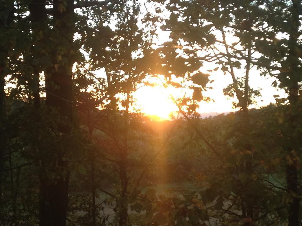 Serenity Views Bungalow - Close To City And Parkway! Villa Weaverville Екстериор снимка